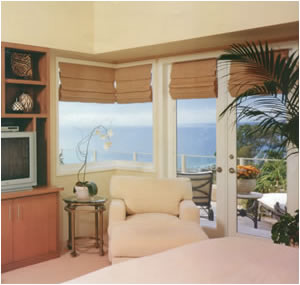 La Jolla Remodel